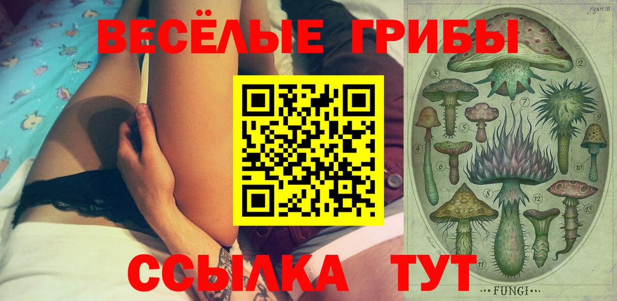 Псилоцибиновые грибы GOLDEN TEACHER  Вход с VPN  что такое   Углич 