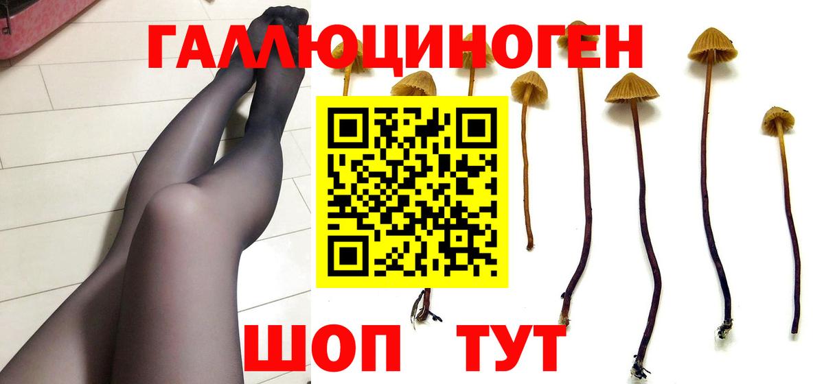 Псилоцибиновые грибы GOLDEN TEACHER Углич